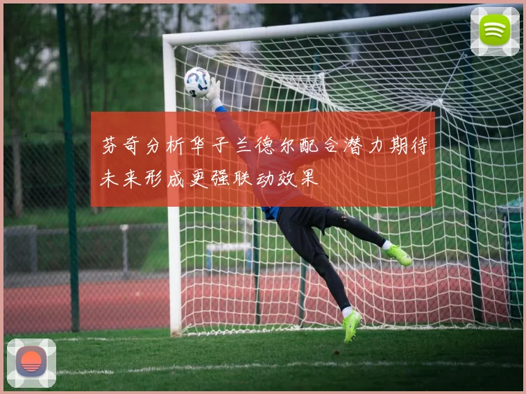 芬奇分析华子兰德尔配合潜力期待未来形成更强联动效果