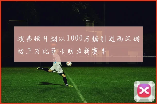 埃弗顿计划以1000万镑引进西汉姆边卫万比萨卡助力新赛季